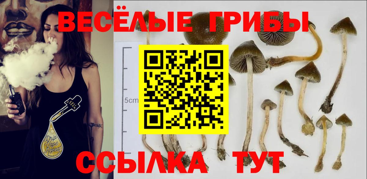 Галлюциногенные грибы прущие грибы  цена наркотик  Долгопрудный  Галлюциногенные грибы MAGIC MUSHROOMS  Вход с VPN 