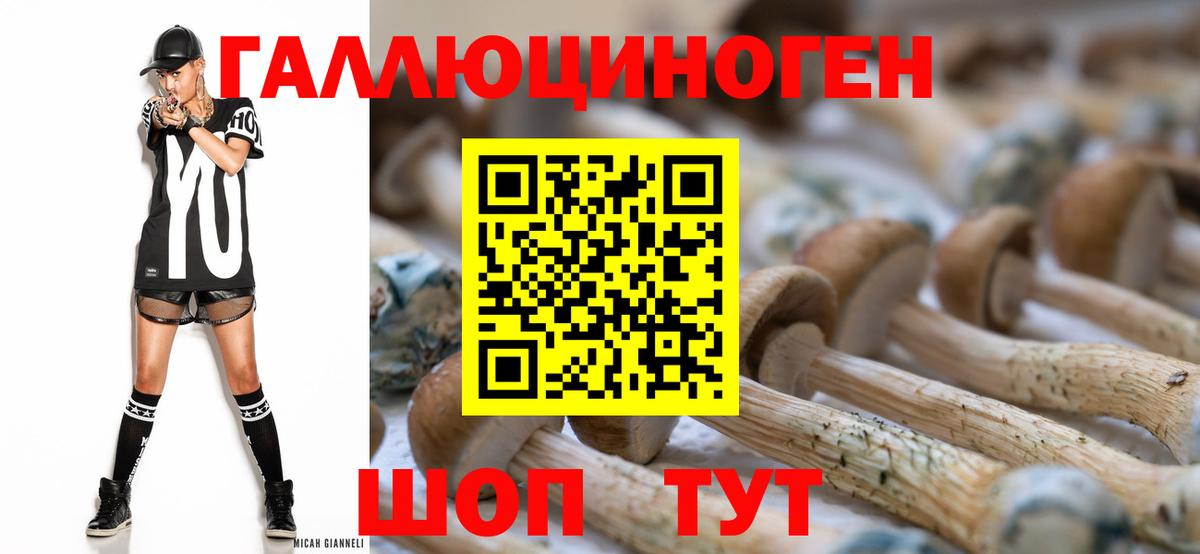 Псилоцибиновые грибы Psilocybine cubensis Долгопрудный